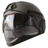 WarQ Fullface Airsoft Schutzhelm (RAPTOR-Grey)