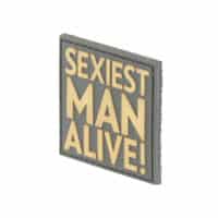 Patch_Sexiest_Man_Alive_tan-02