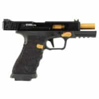 APS_Bumblebee_XX-03-jpg
