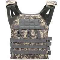 DELTA SIX ACM Jumper Molle Plate Carrier / Plattenträger (Digital ACU Camo)