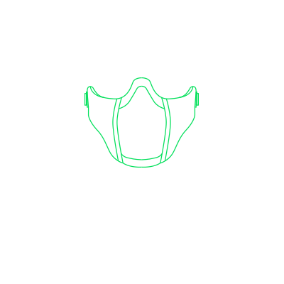 Face protection / face mask