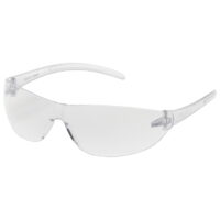ASG Airsoft goggles (clear)